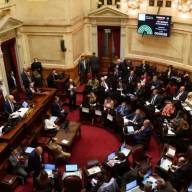 El senado rechazó el veto de Milei y la Emergencia en Discapacidad es ley, superando ampliamente los dos tercios necesarios, con 63 votos contra 7.